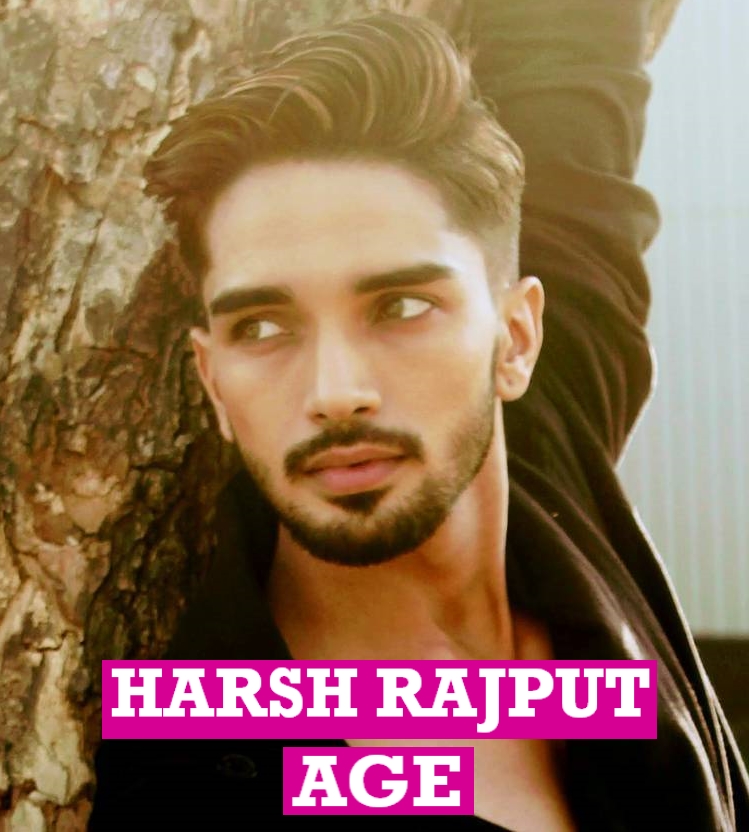 Harsh Rajput Age, Real Lifestyle