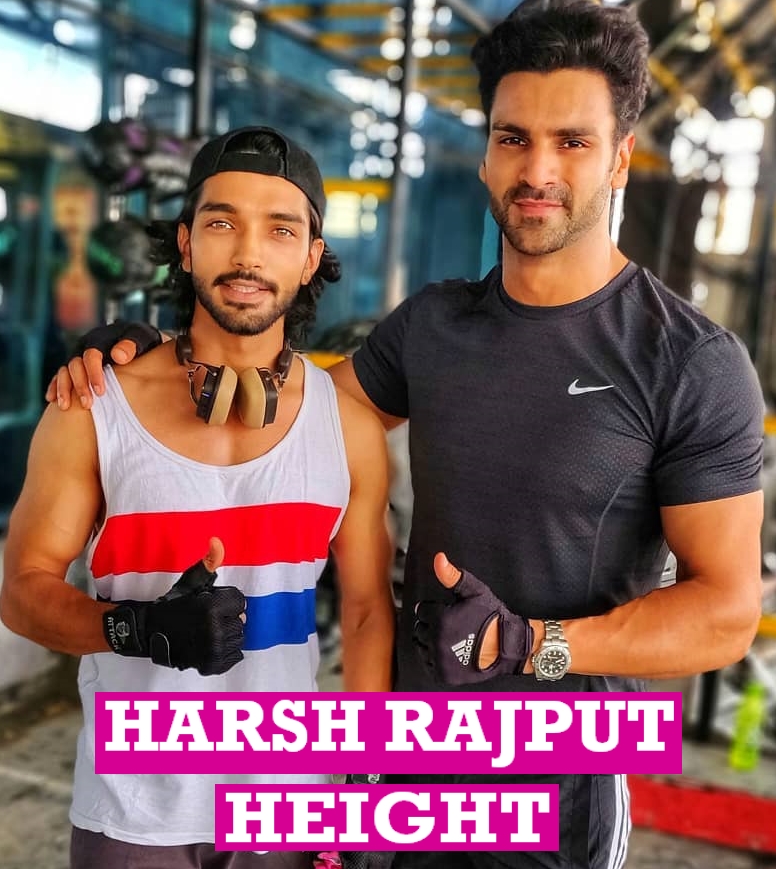 Harsh Rajput Height, Lifestyle, Life, Life Quotient